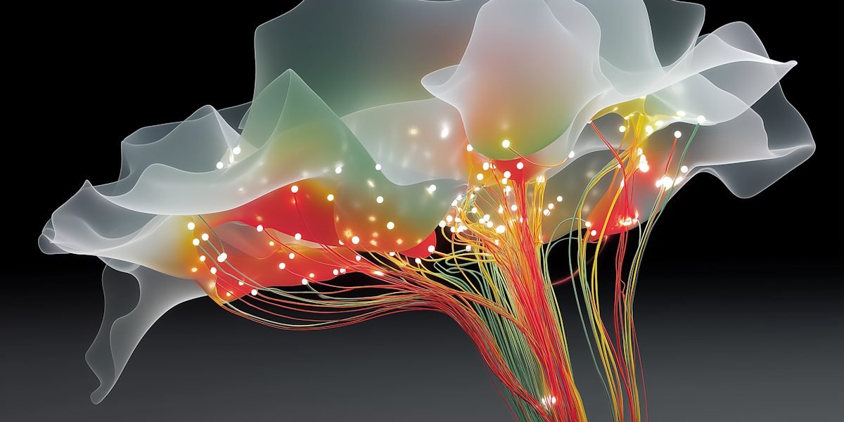 This article traces the long, layered answer to
