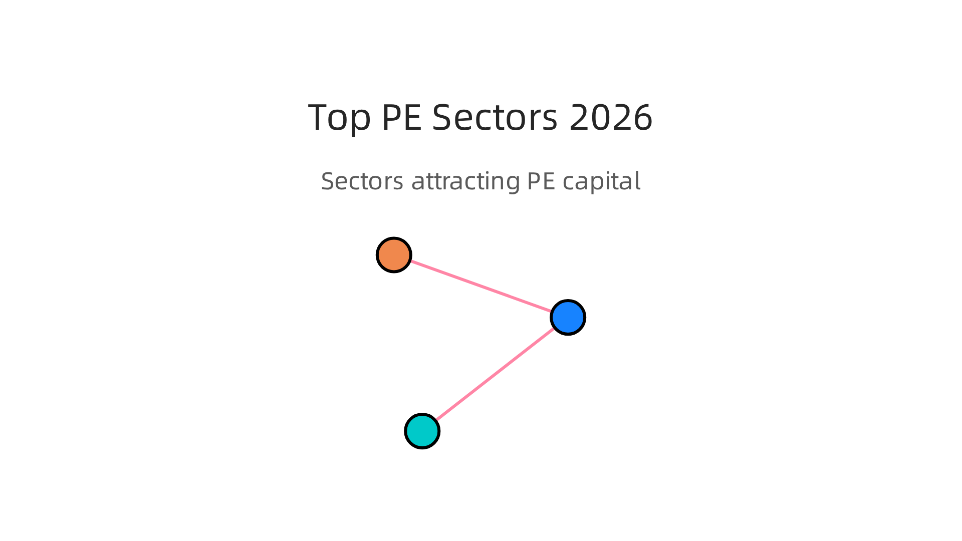 Visualizing the primary sectors attracting significant private equity capital in 2026.