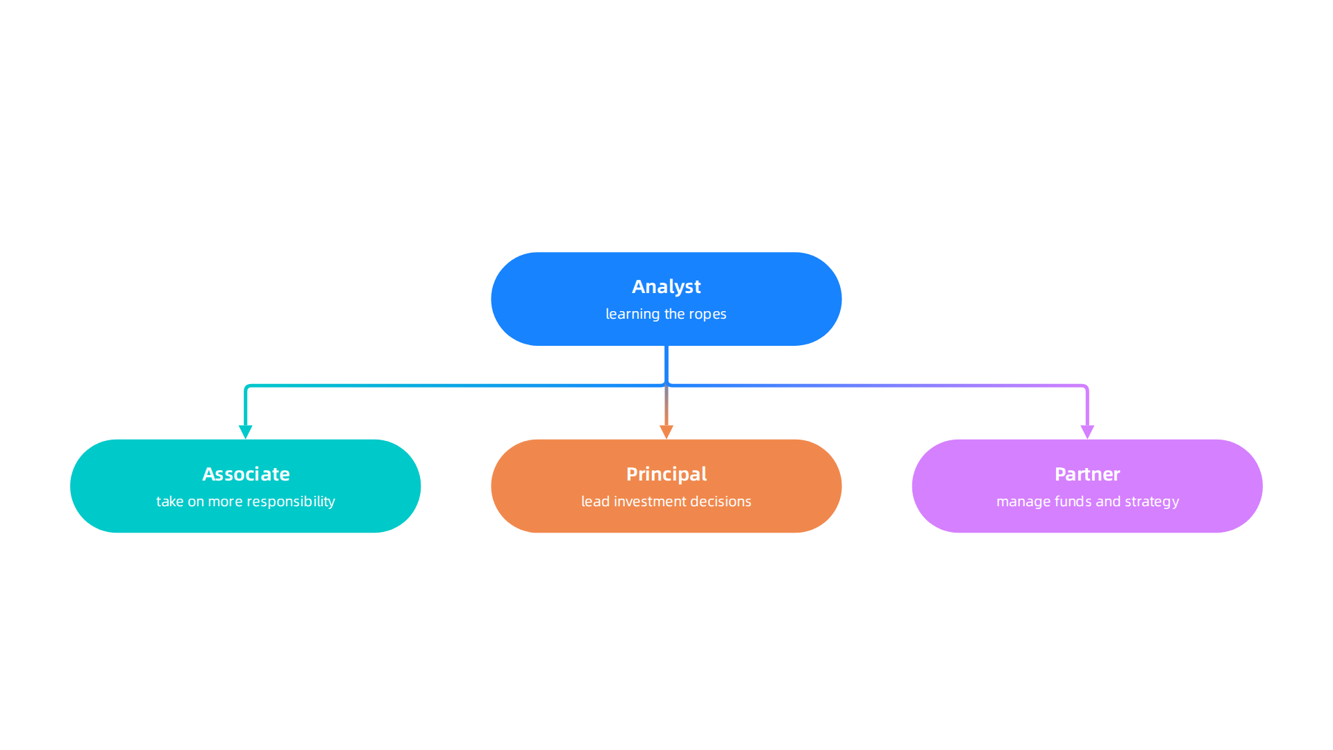 Visualizing the standard career progression within a venture capital firm, from Analyst to Partner.
